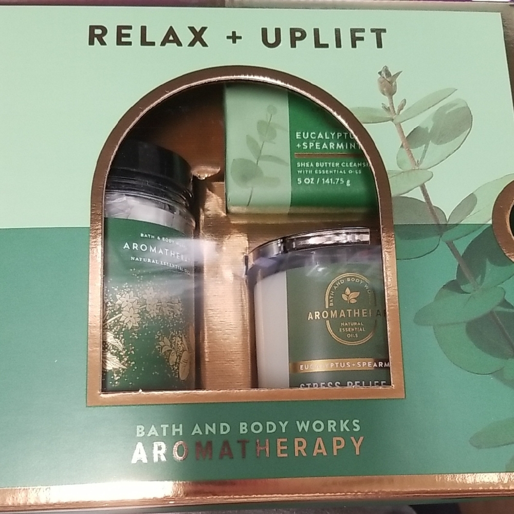 Bath & Body Works Aromatherapy Eucalyptus Spearmint Gift Set - Green